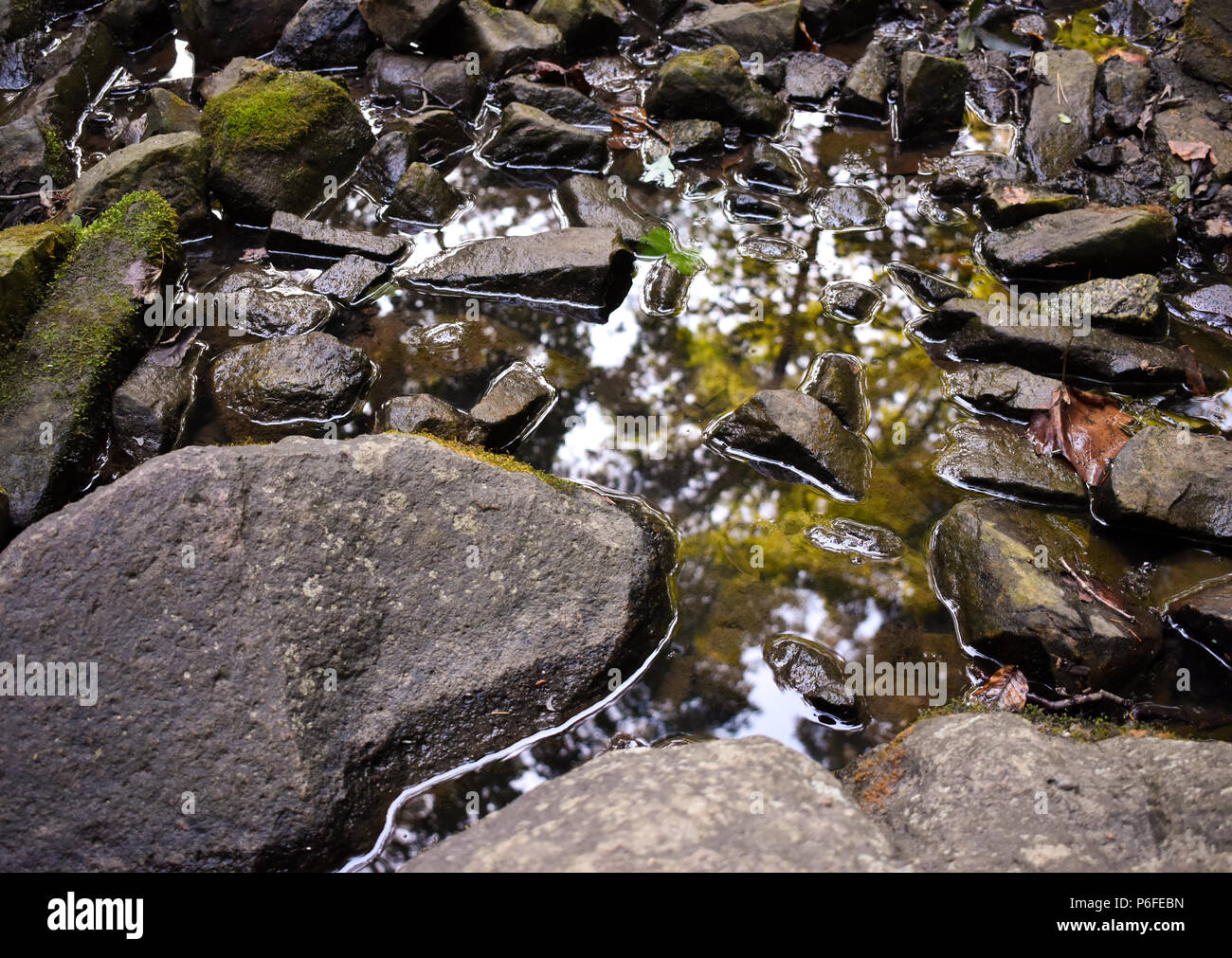 Rocky Creek With Reflection On Water Uncc Botanical Gardens Stock