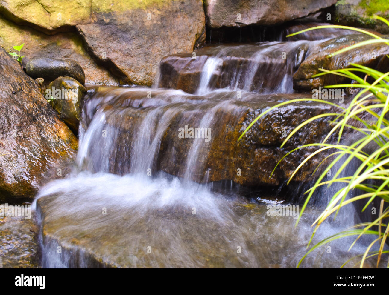 Small Waterfall Long Exposure Effect At Uncc Botanical Gardens