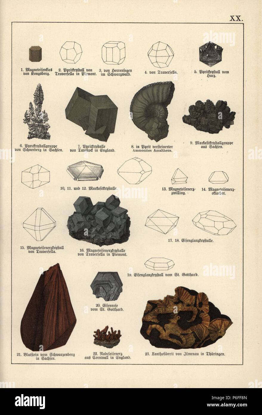 Metals including magnetic iron ore grit and crystals, pyrite crystal group,  pyrite with petrified Ammonite fossil, markasite, bloodstone and copiapite.  Chromolithograph from Dr. Aldolph Kenngott's "Mineralogy" section in  Gotthilf Heinrich von Schubert's "