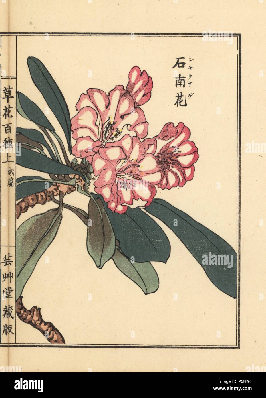 銀閣】中国美術内青花魚藻紋外黄地緑龍紋盤嘉靖款旧家蔵出(T891