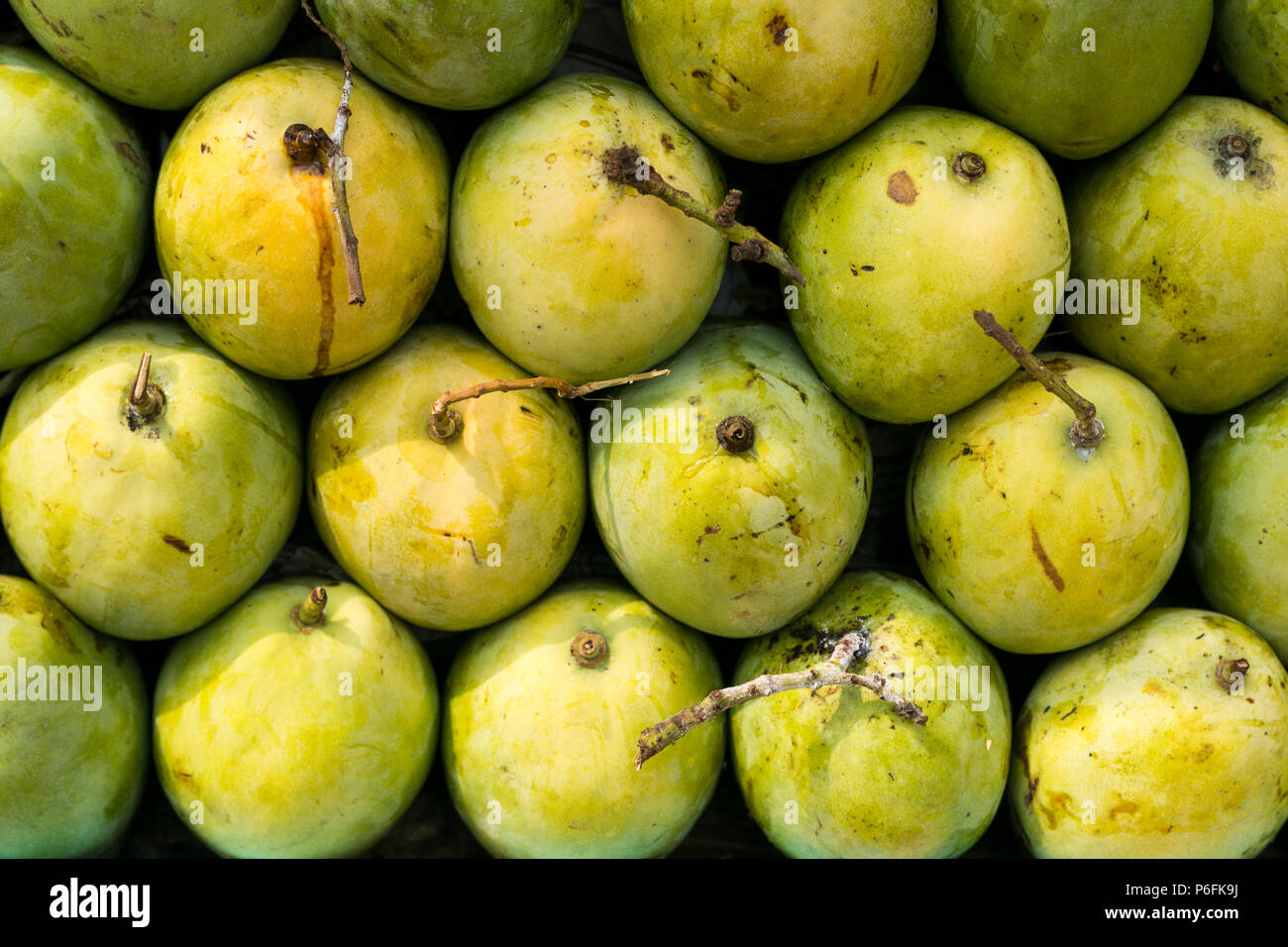 pile of mango on market place in jakarta, indonesia Stock Photo Alamy