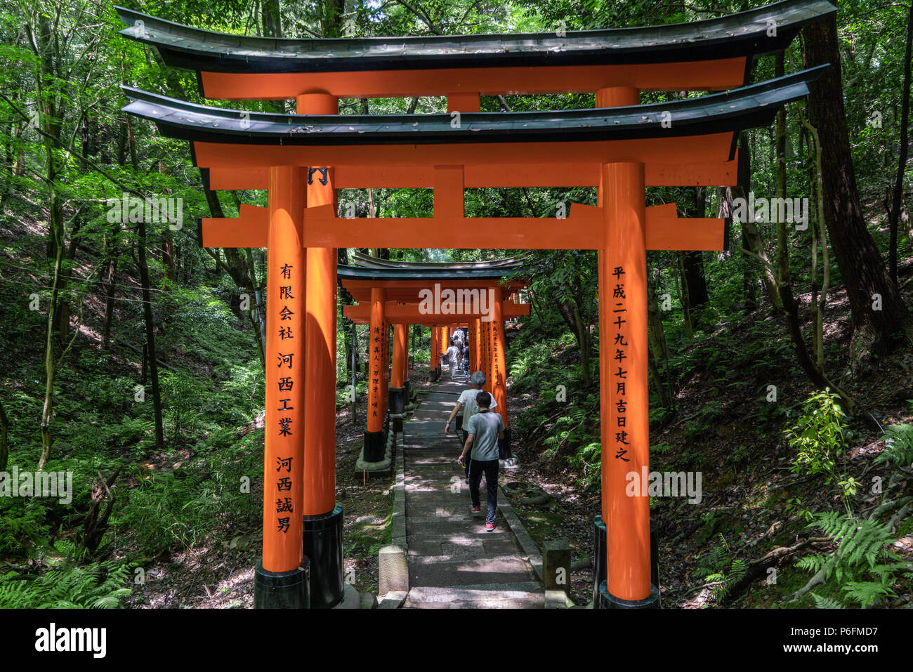 〈洋書〉増補版 KYOTO the forest within the gate 817cnoeL9HL._AC_UF350,