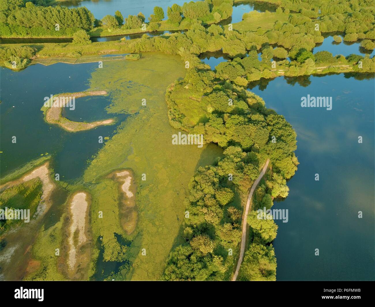 Aerial landscape photography, swampy terrain photo Stock Photo