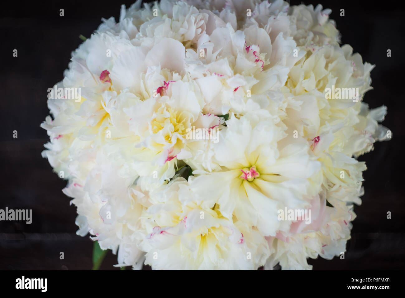 Vintage box with beautiful white peony flowers Stock Photo - Alamy