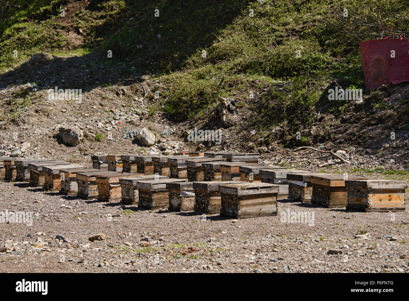 Bee hives in farm field hi-res stock photography and images - Alamy