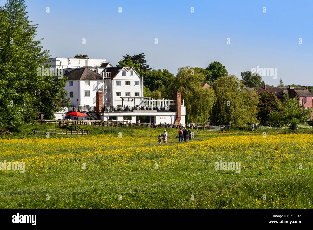 Water Meadows, Sudbury, Suffolk, UK Stock Photo