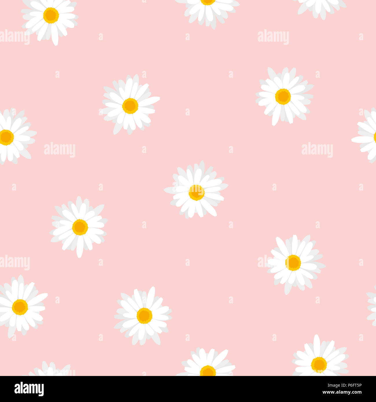 Seamless floral pattern white flowers Daisy on pink background, vector ...