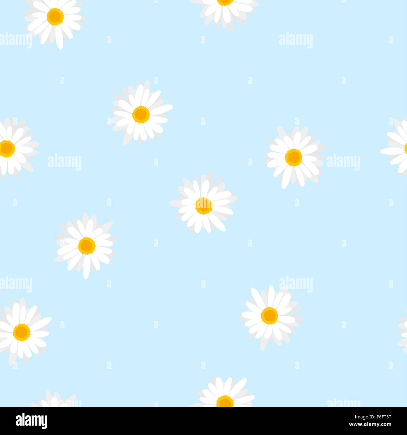 Seamless floral pattern white flowers Daisy on blue background, vector ...