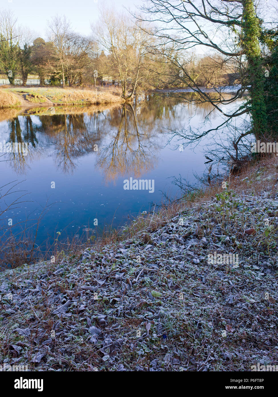 Cold Frosty Morning River Wharfe Ilkley West Yorkshire Uk Stock Photo