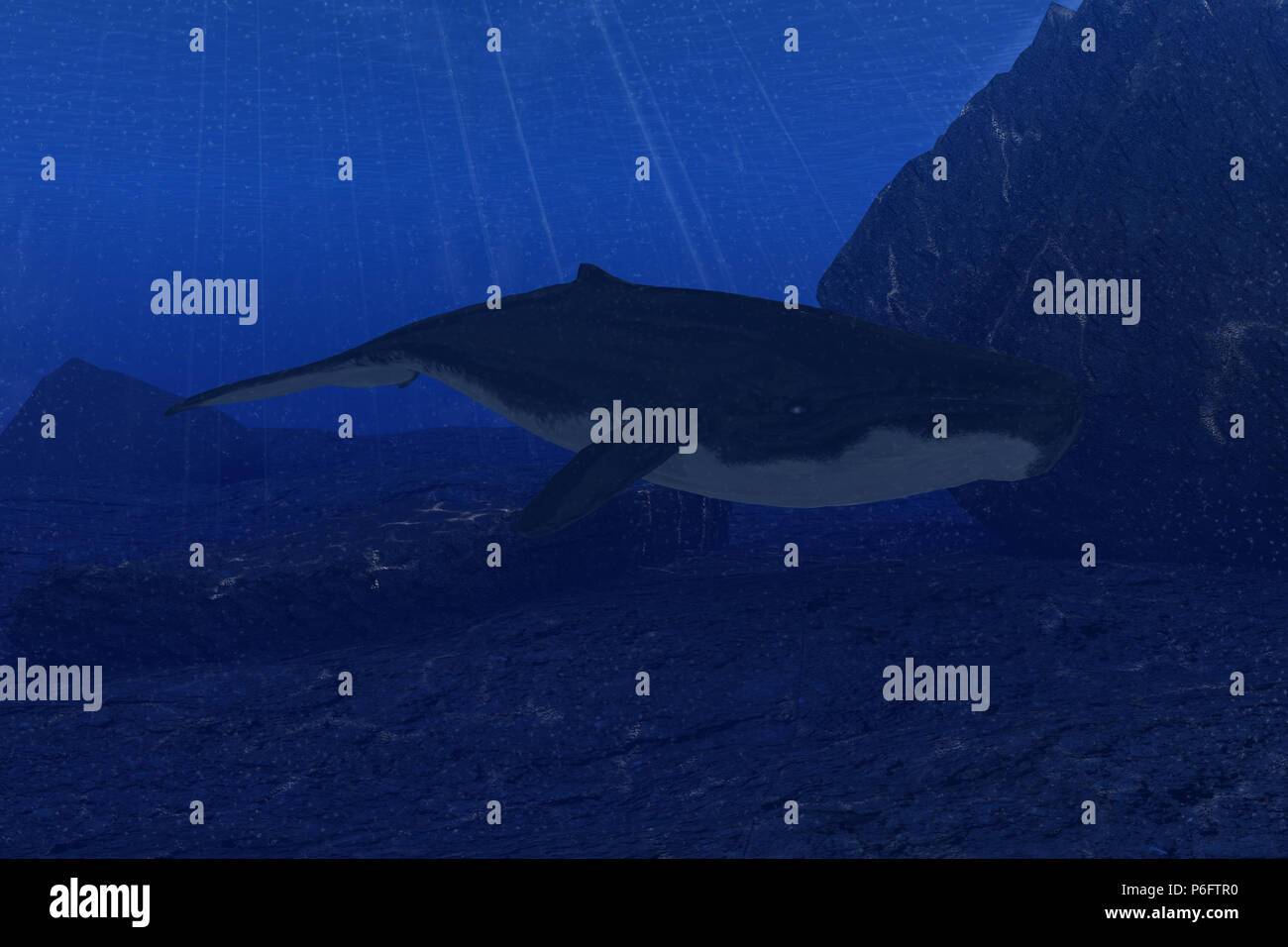 Deep sea atlantic underwater hires stock photography and images Alamy