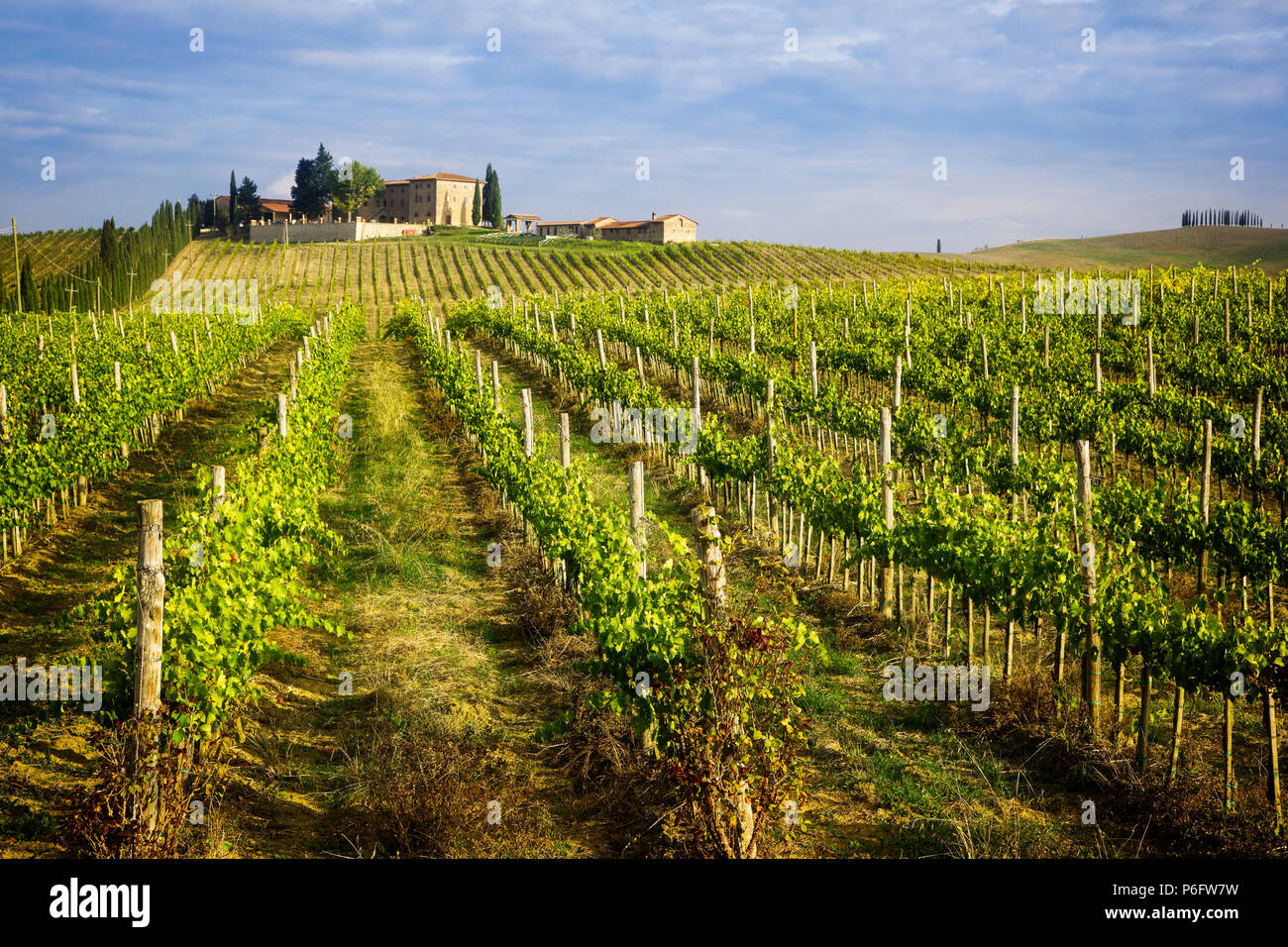 Vineyards and an estate in Chianti, Italy. Stock Photo