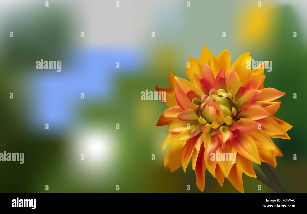 Delicate red gold Aster on a blurred green background Stock Vector