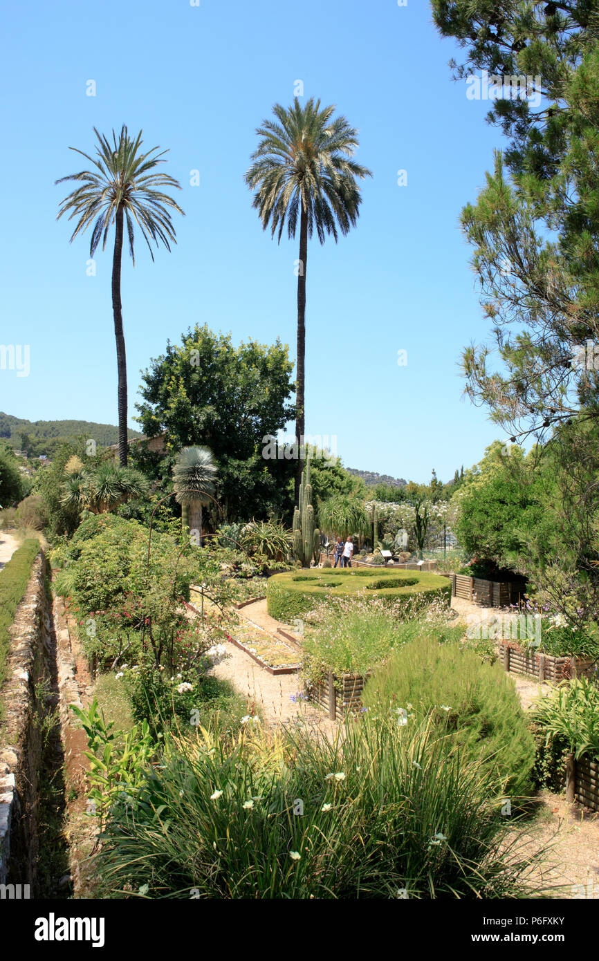 Mediterranean Botanical garden, Soller, Mallorca, Spain Europe Stock Photo  - Alamy