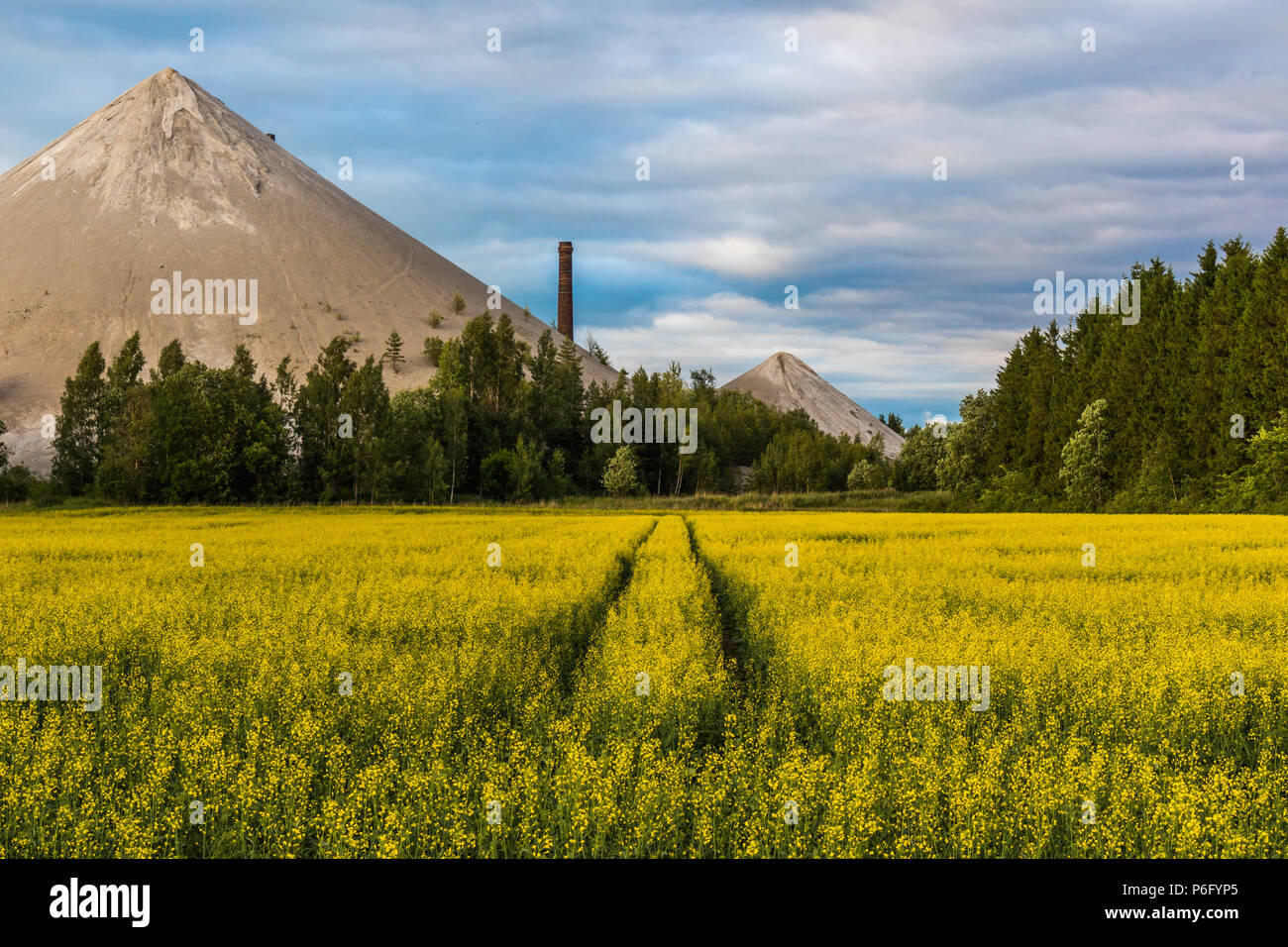 What Is Meant By Ash Heap at Philip White blog