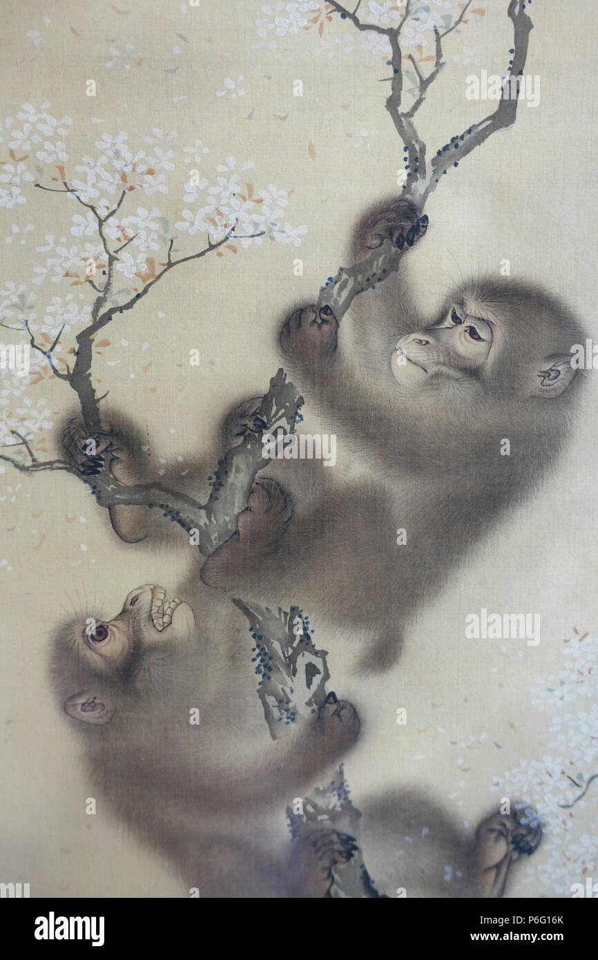 English: Exhibit in the Arthur M. Sackler Museum, Harvard University, Cambridge, Massachusetts, USA.  Monkeys in a Blossoming Cherry Tree, 1 of 2, Mori Sosen, Japan, Edo period, early 1800s, ink and color on silk - Arthur M. Sackler Museum, Harvard University - DSC01127 Stock Photo