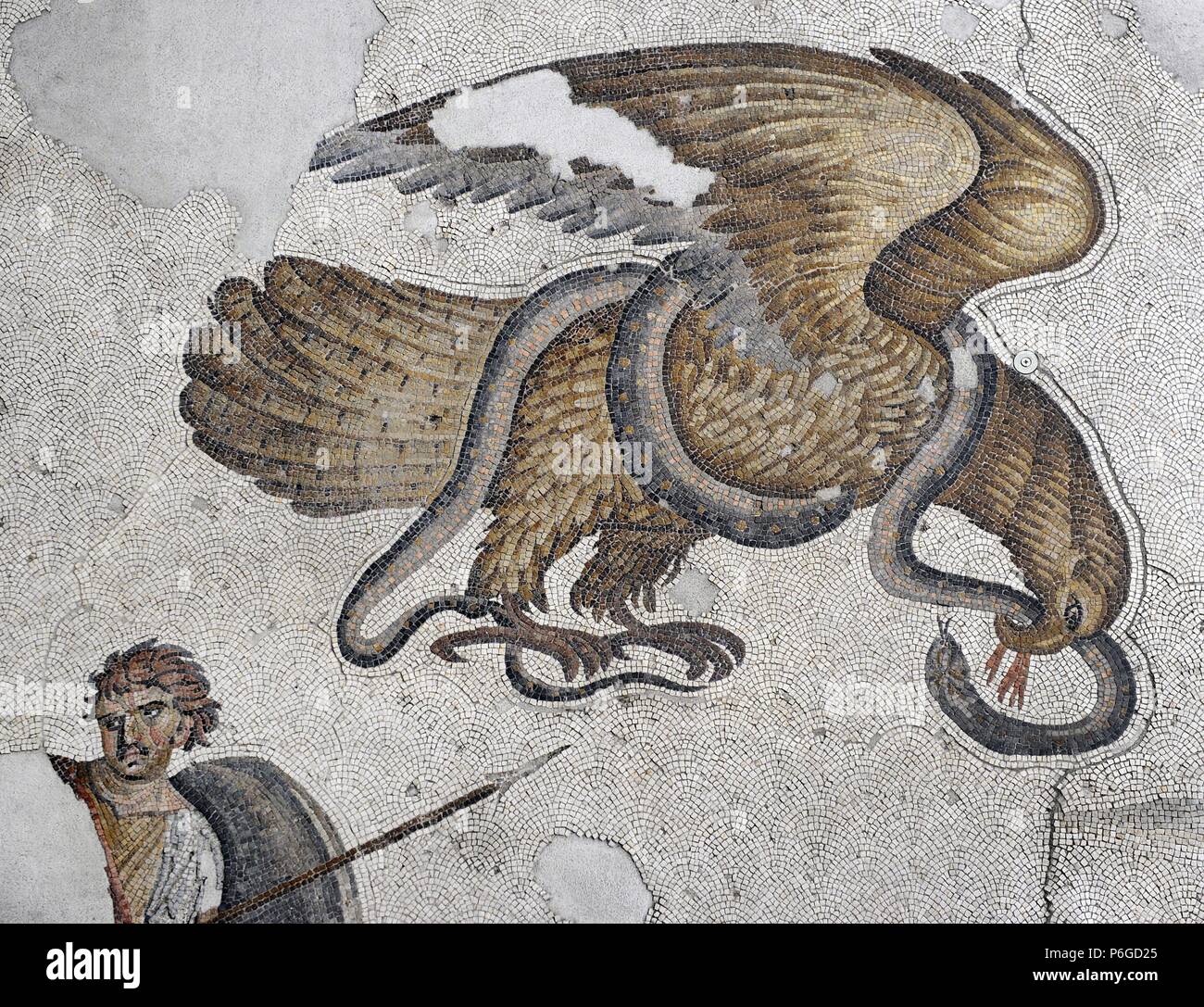 Arte de serpiente águila hi-res stock photography and images - Alamy, image size:1300x1087