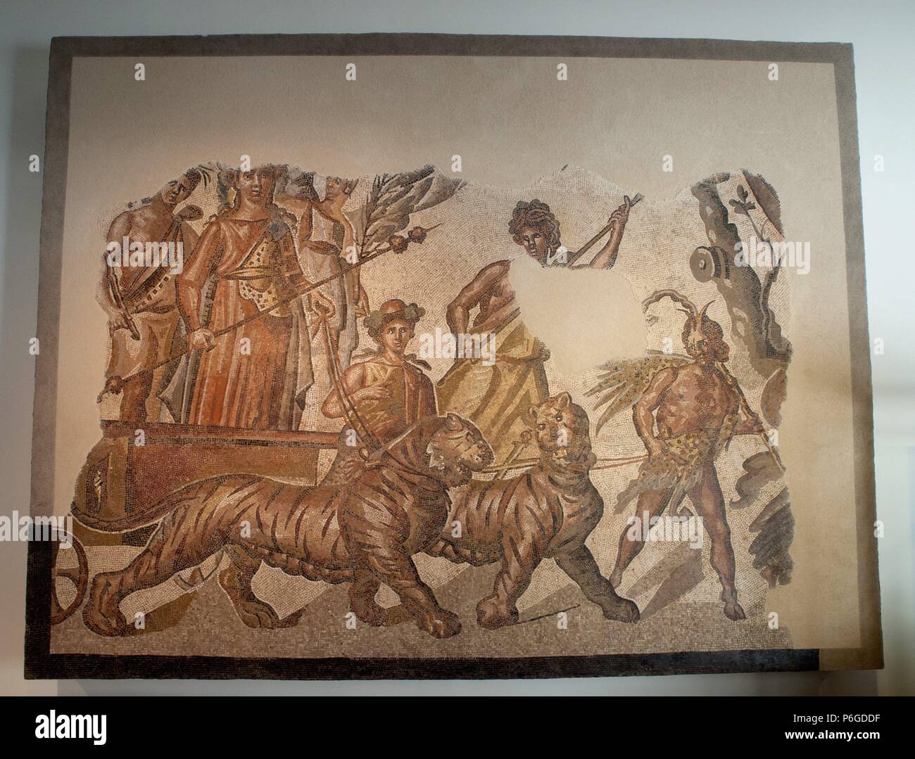 Mosaico que representa el Triunfo de Baco. Arte romano, siglo II d.C.. Procedencia: Zaragoza. . MUSEO ARQUEOLOGICO NACIONAL. Stock Photo