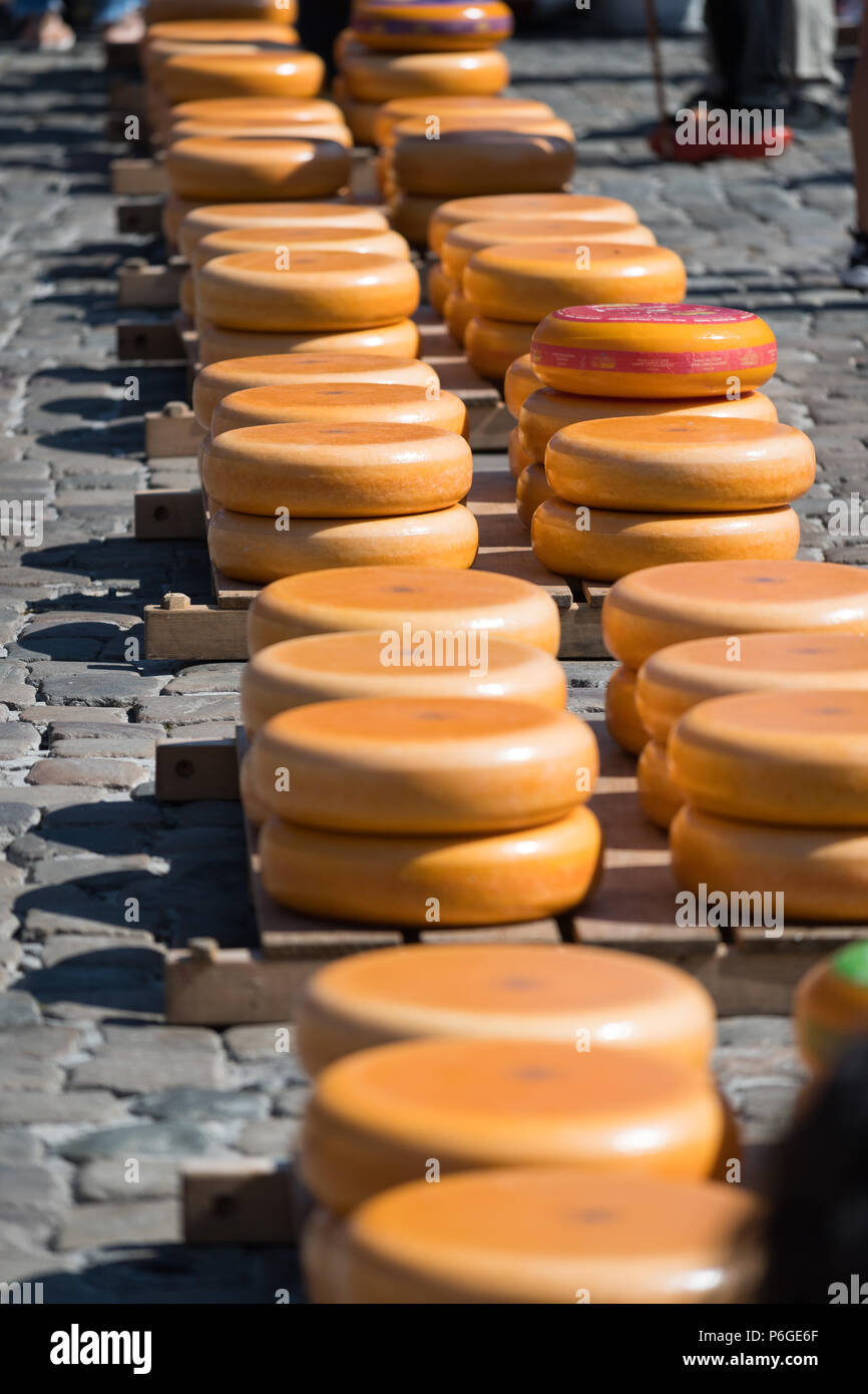 Stacked cheese at the Gouda cheese market, Netherlands Stock Photo Alamy