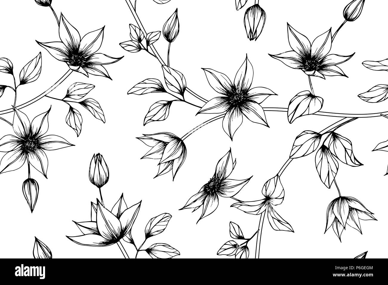 Seamless Clematis flower pattern background. Black and white with drawing line art illustration. Stock Vector