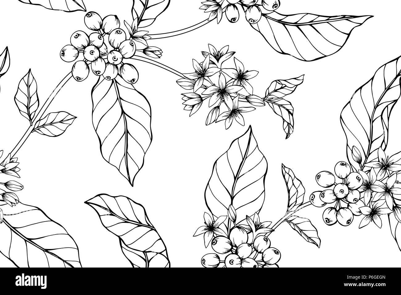 Seamless Coffee tree pattern background. Black and white with drawing line art illustration. Stock Vector