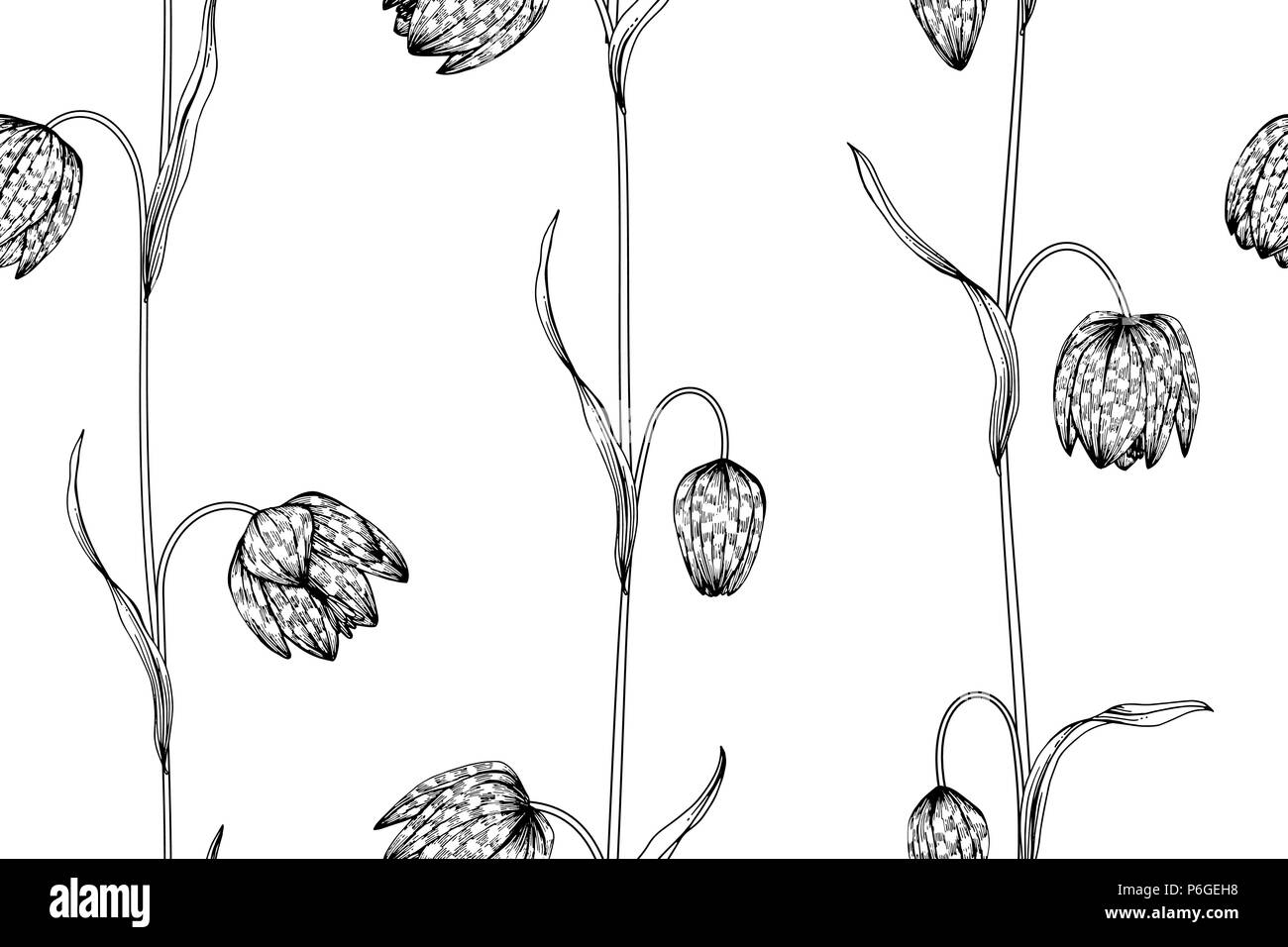 Seamless flower pattern background. Black and white with drawing line ...