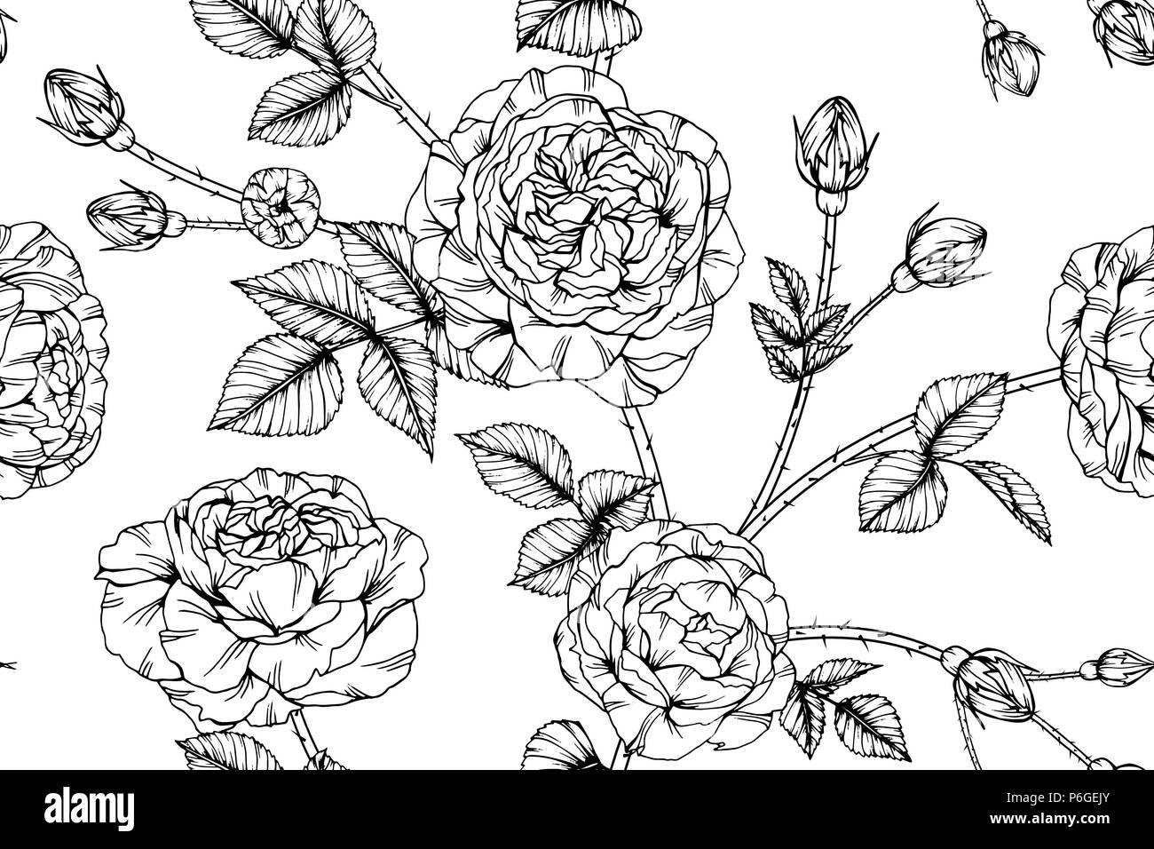 Seamless Rose flower pattern background. Black and white with drawing line  art illustration Stock Vector Image & Art - Alamy