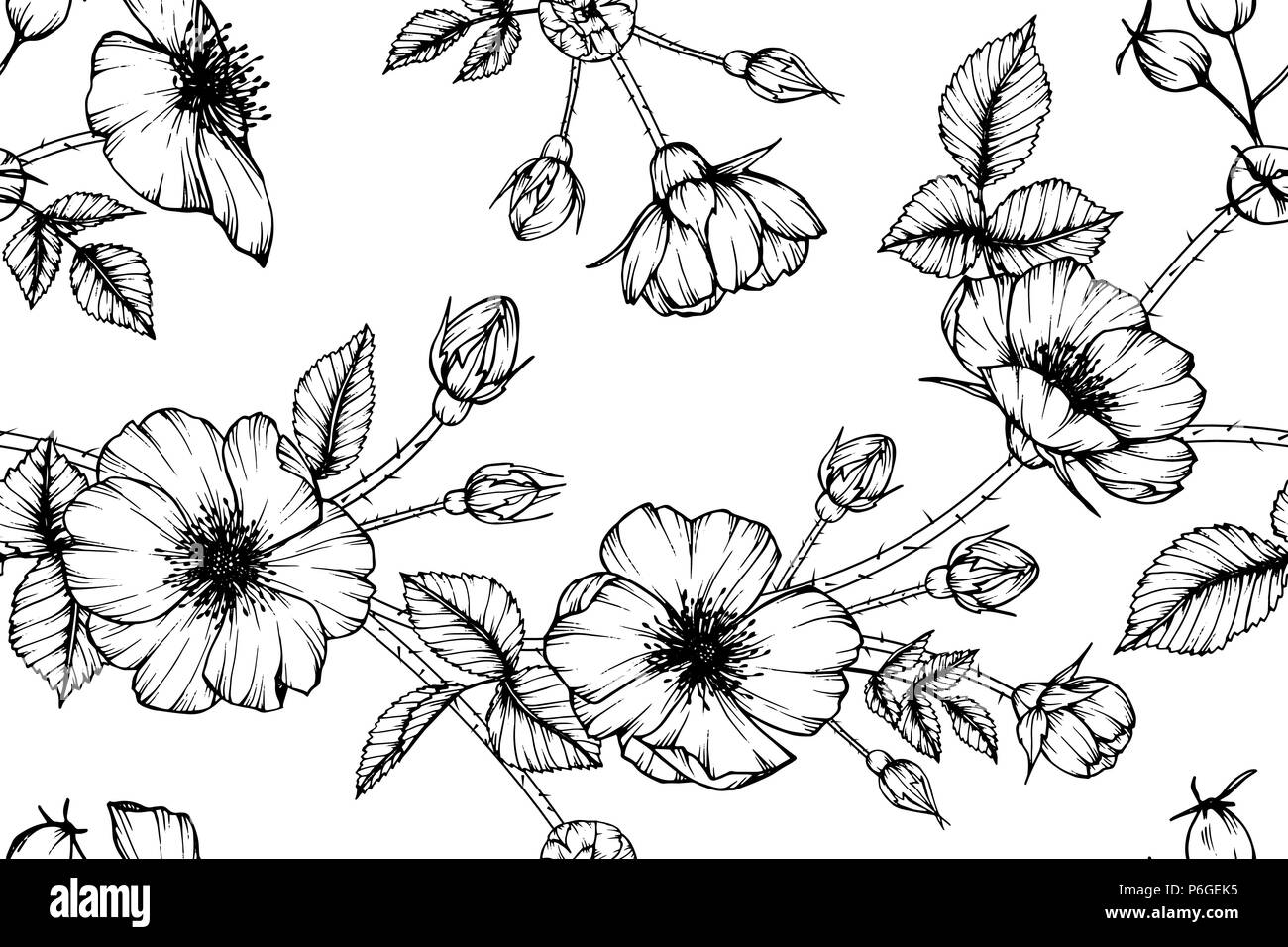 Seamless Rosa Canina Flower Pattern Background Black And White