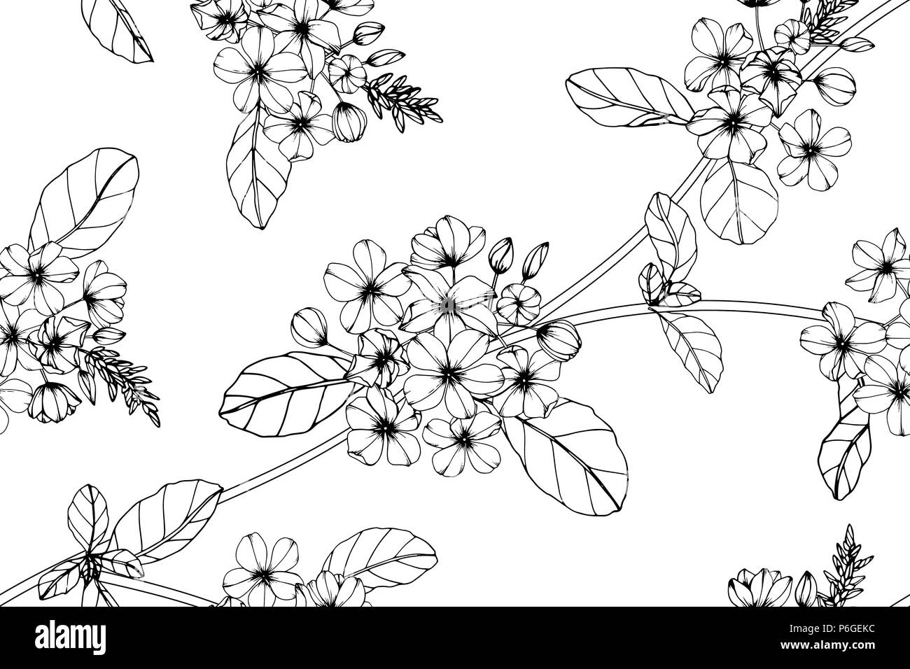 Seamless Cap leadwort flower pattern background. Black and white with drawing line art illustration. Stock Vector