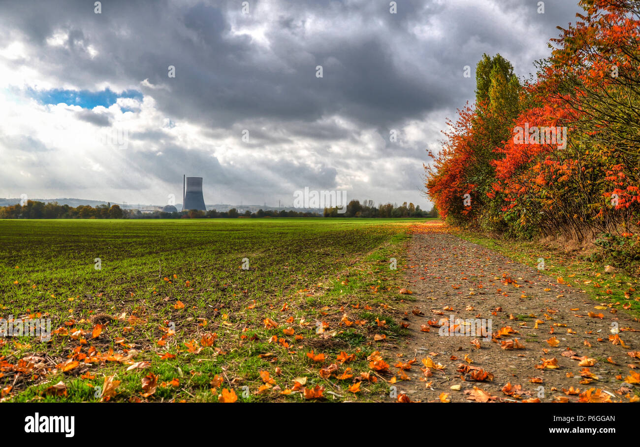 Autumn windy day in Germany, cloudy sky yellow leaves falling from trees  standing near a dirt road and farmland. In the distance, the chimney of the  n Stock Photo - Alamy