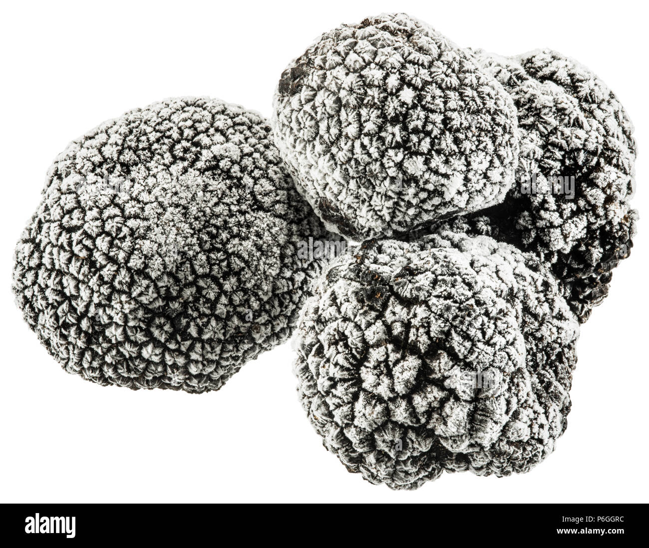 frozen-black-truffles-file-contains-clipping-paths-P6GGRC.jpg