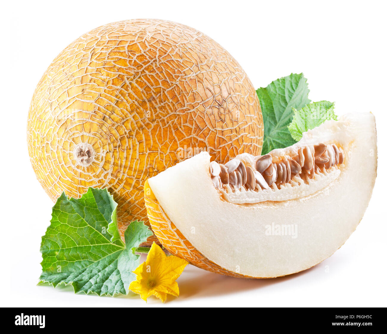Ripe melon and melon slice on white background. Stock Photo