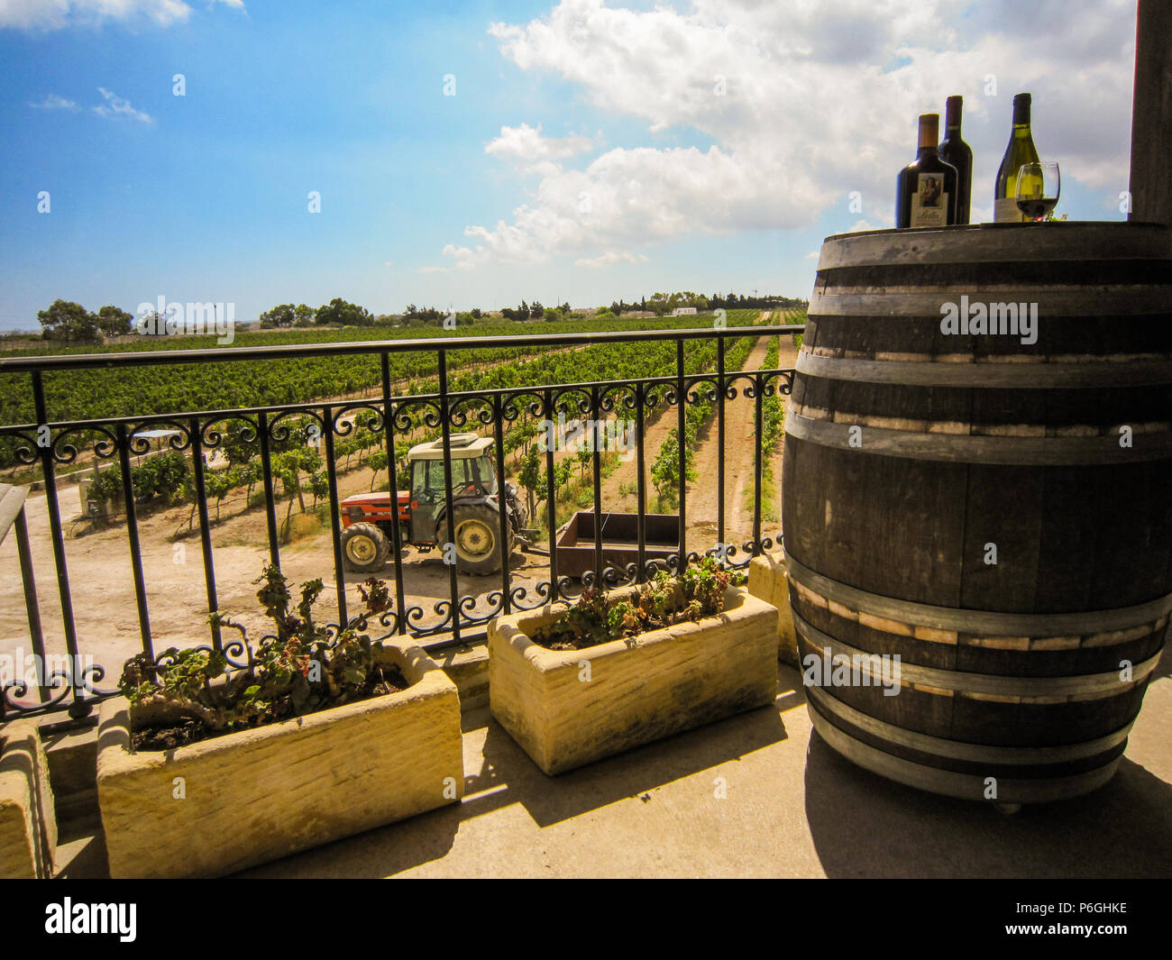 Winery field with barrel and bottles in the foreground Stock Photo Alamy