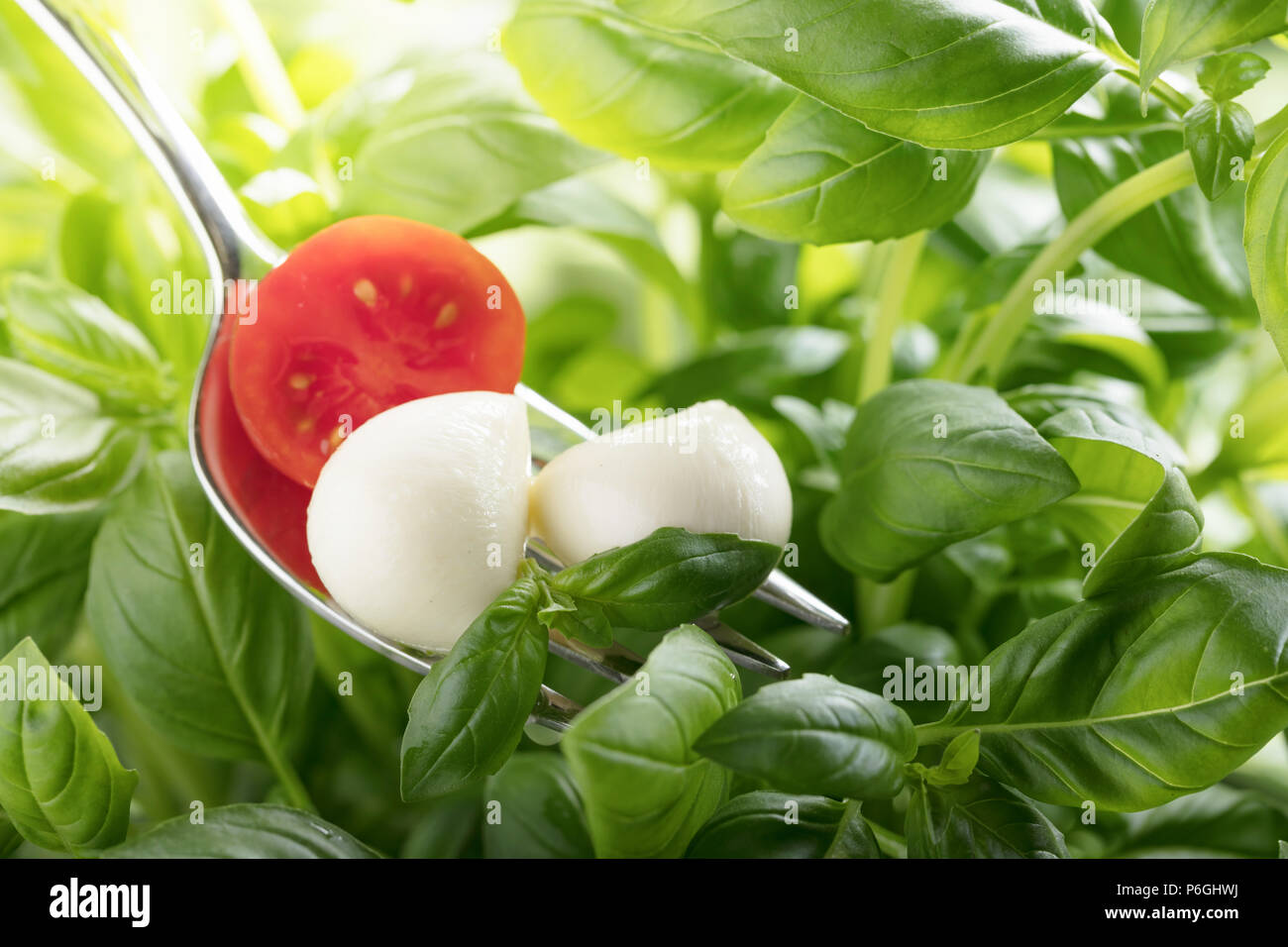Mini mozzarella cheese balls, cherry tomatoes and green basil. Traditional Italian cuisine Stock