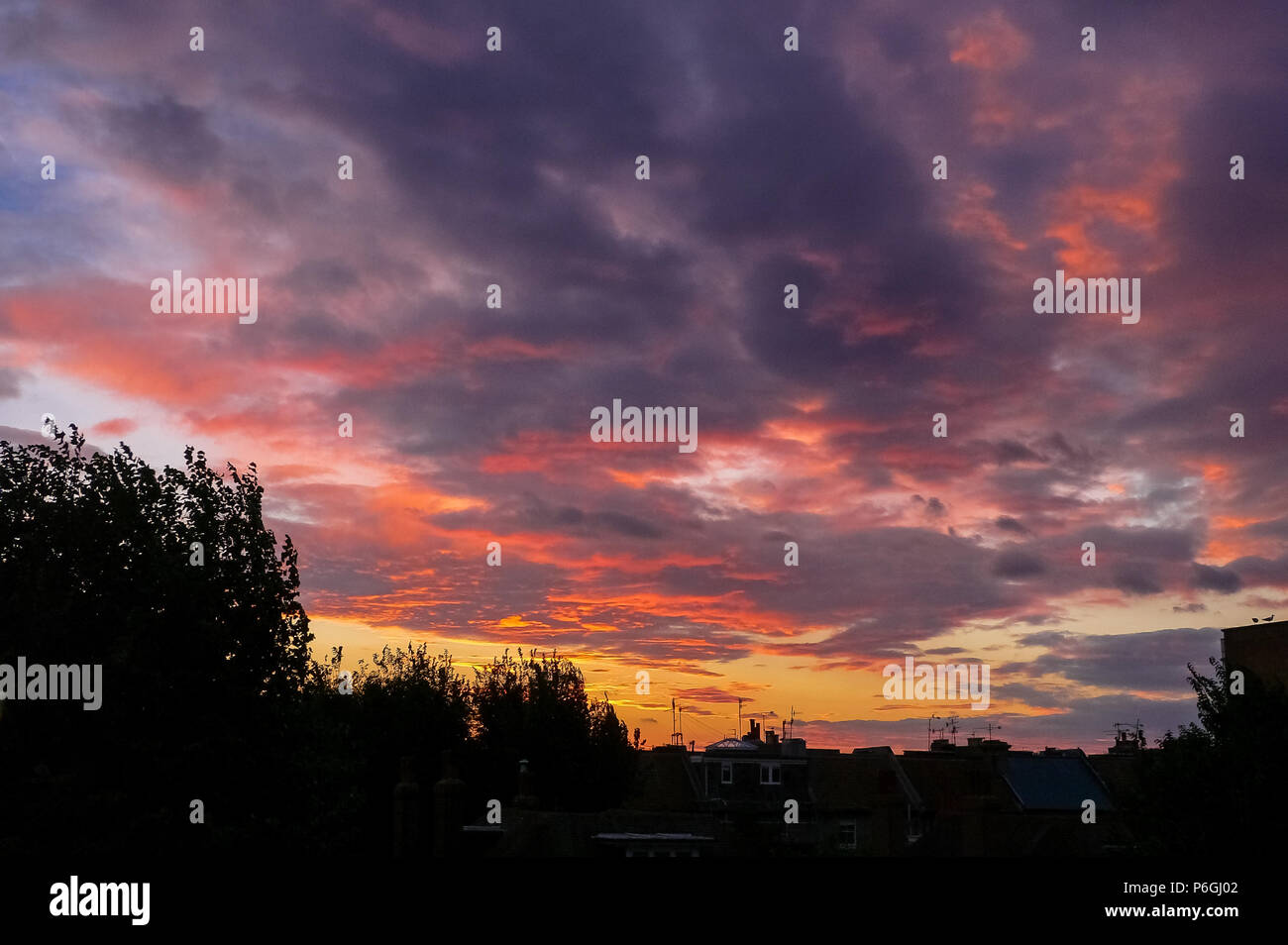 Silhouetted trees and tv aerials on rooftops in a English town at sunset Stock Photo