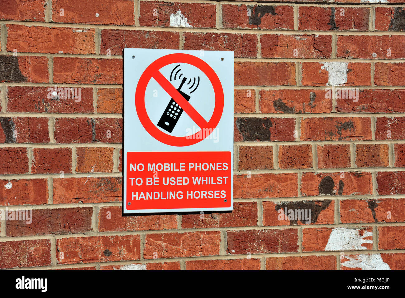 warning sign saying No mobile phones to be used at this stable Stock Photo