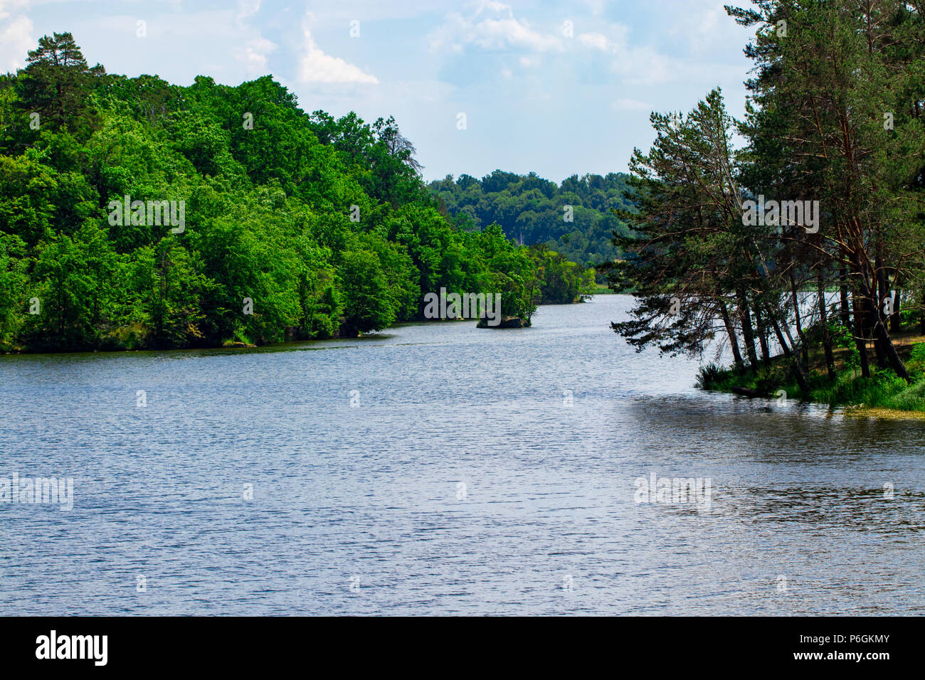 landscape with, forest and a river in front. beautiful scenery Stock ...