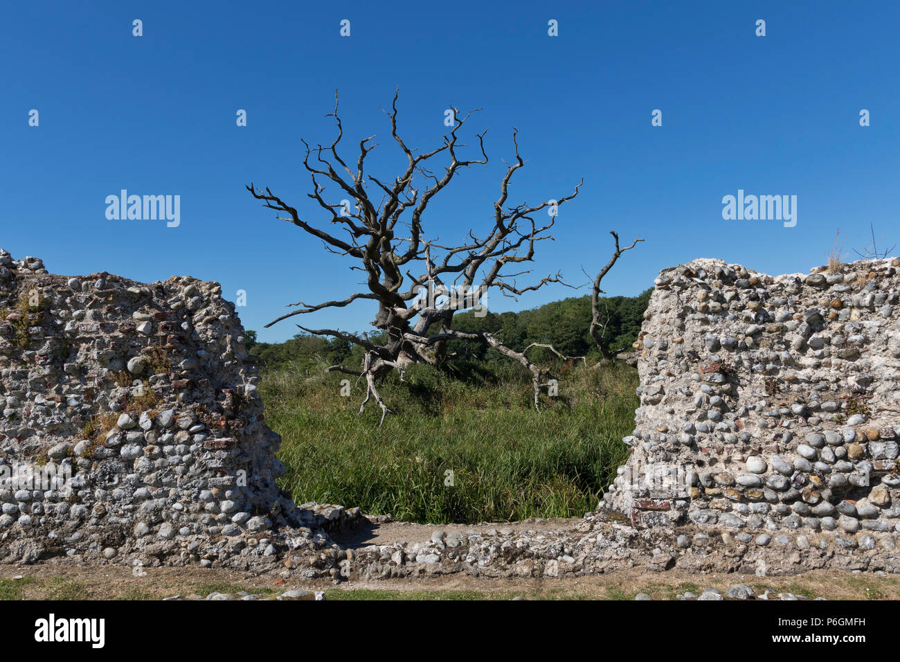 Baconsthorpe Castle ruins, Norfolk, UK. Stock Photo