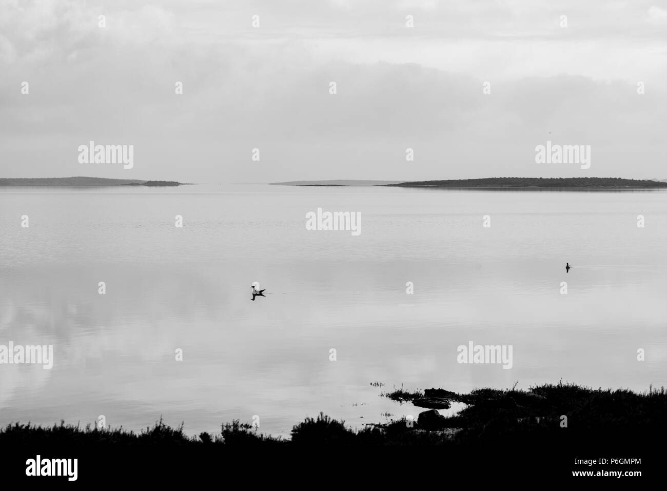 The Coorong, SA Stock Photo