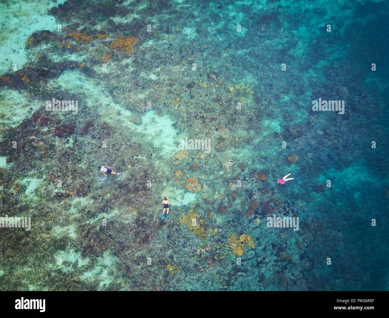 Above view on people in snorkeling activity on reef beach Stock Photo