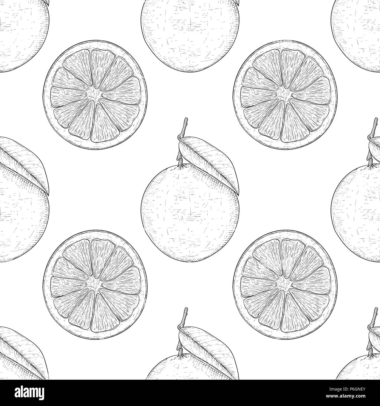 Orange, whole and slice. Hand drawn black and white sketch as seamless pattern. Vector illustration Stock Vector