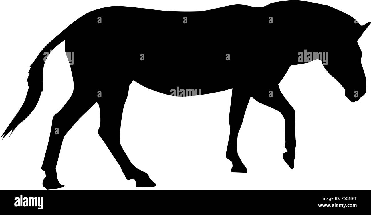 Zebra. Black silhouette Stock Vector Image & Art - Alamy