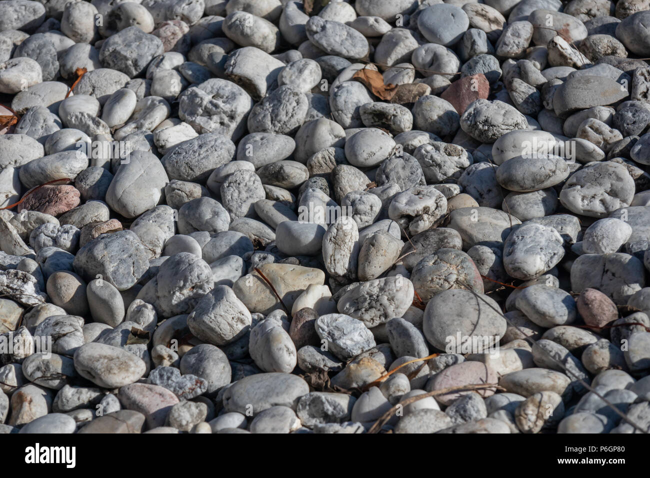 File:Grey slightly dirty stained grungy deteriorating seamless square tiled  floor paving texture.jpg - Wikimedia Commons, image size:1300x956