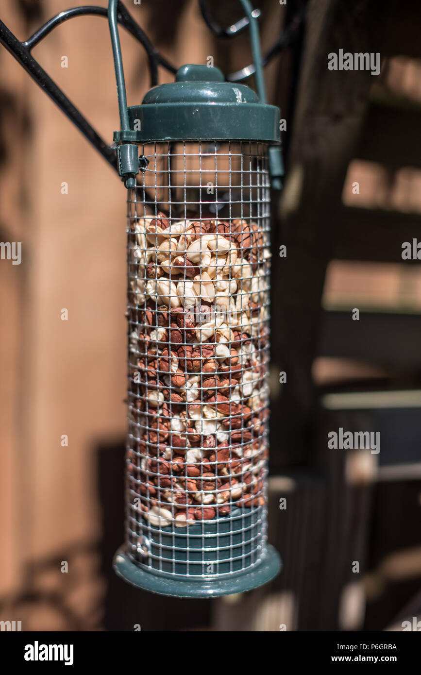 bird food nuts in a garden feeder Stock Photo Alamy