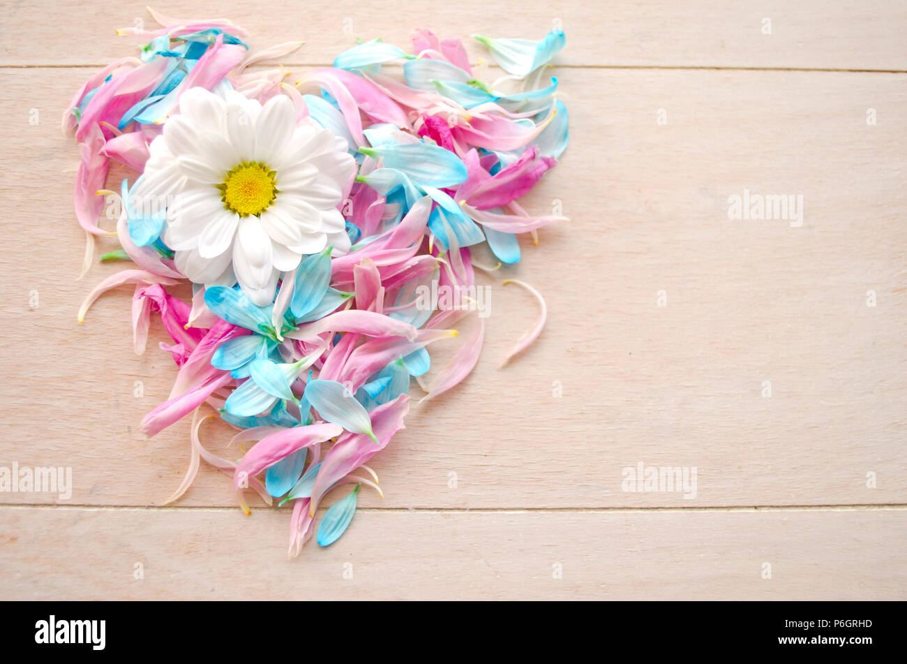 Love symbol on wooden background maid by blue and pink petals with daisy flower. Stock Photo