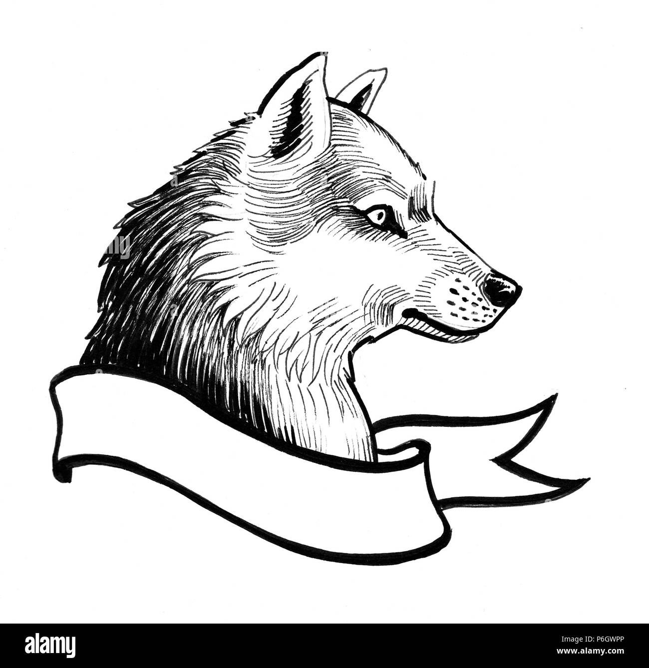 Wolf head and blank banner. Ink black and white illustration Stock Photo