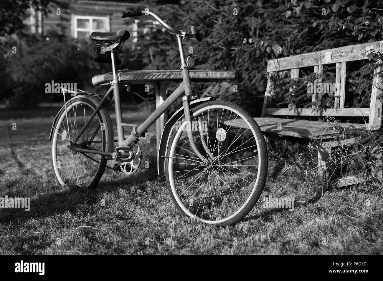 various objects of the summer season in the best of this wonderful period Stock Photo