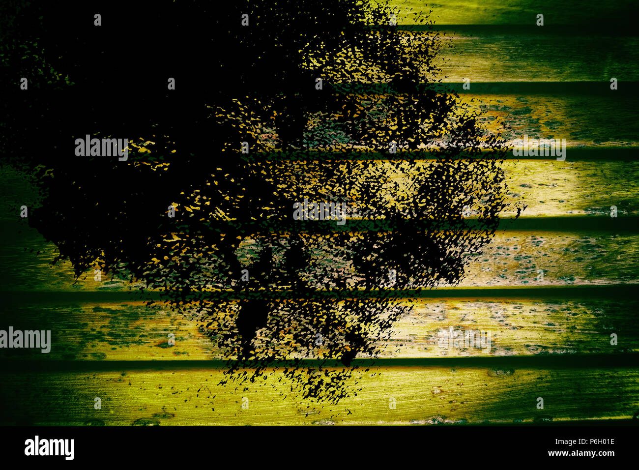 Grunge Wooden bench plank texture for web site or mobile devices ...