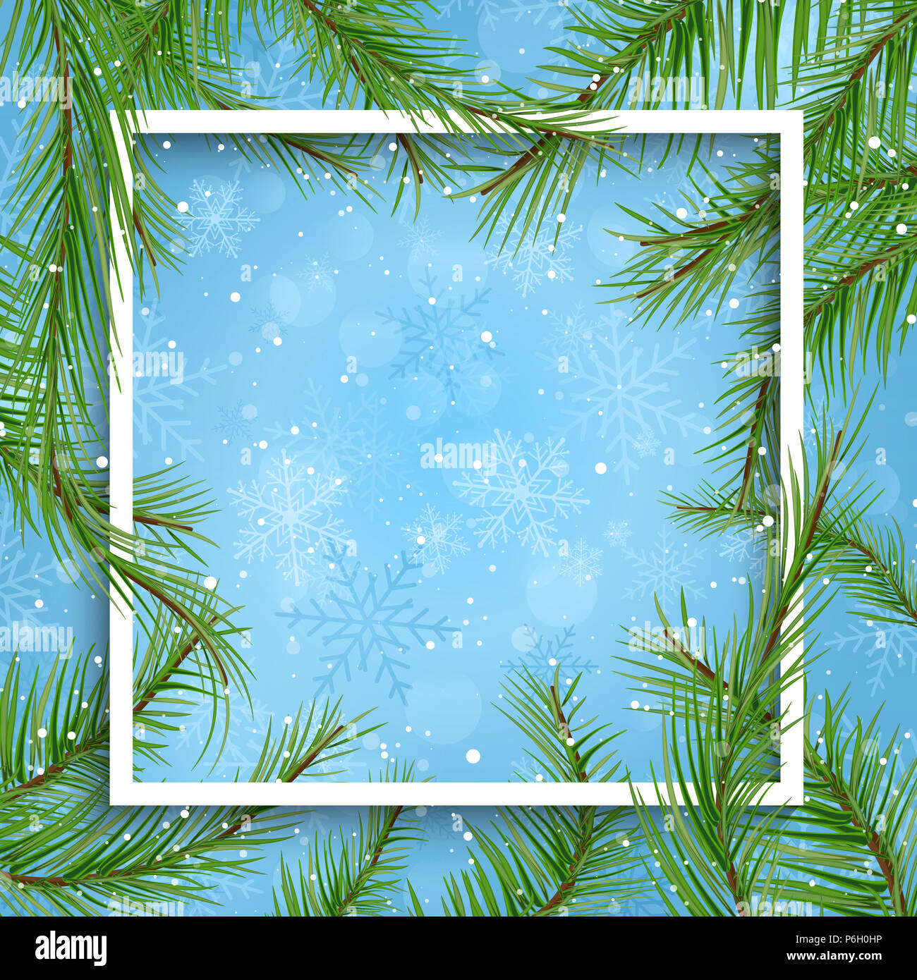 Christmas background with white frame and fir tree branches Stock Photo ...