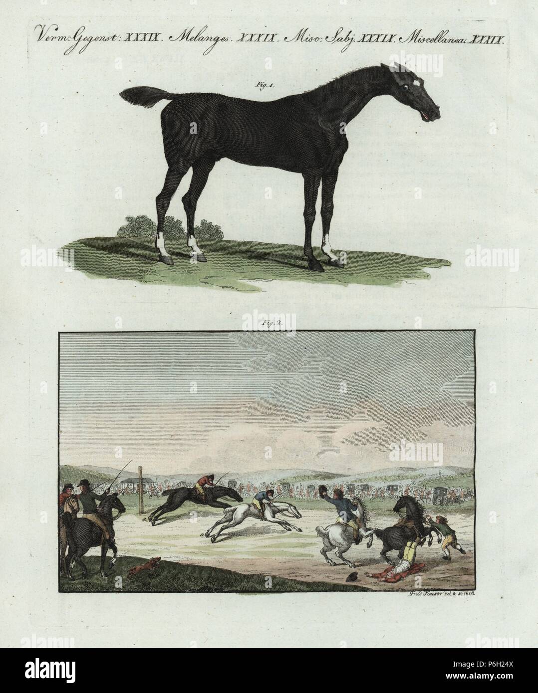 English racing horse or courser 1, and scene at an English horse race track 2. Handcoloured copperplate engraving after Friedrich Kaiser from Friedrich Johann Bertuch's Bilderbuch fur Kinder (Picture Book for Children), Weimar, 1802. Stock Photo