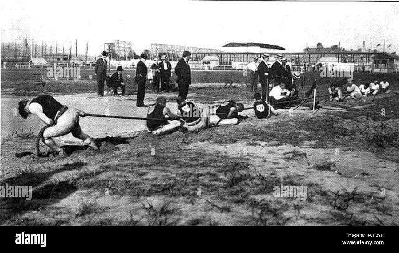 1904 tug of war Stock Photo Alamy